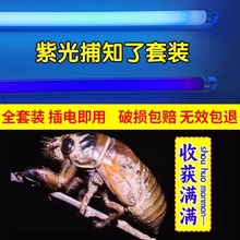 抓知了猴灯诱虫灯紫光灯管BLB紫外线黑管紫光捕蝉灯管养殖场鱼塘