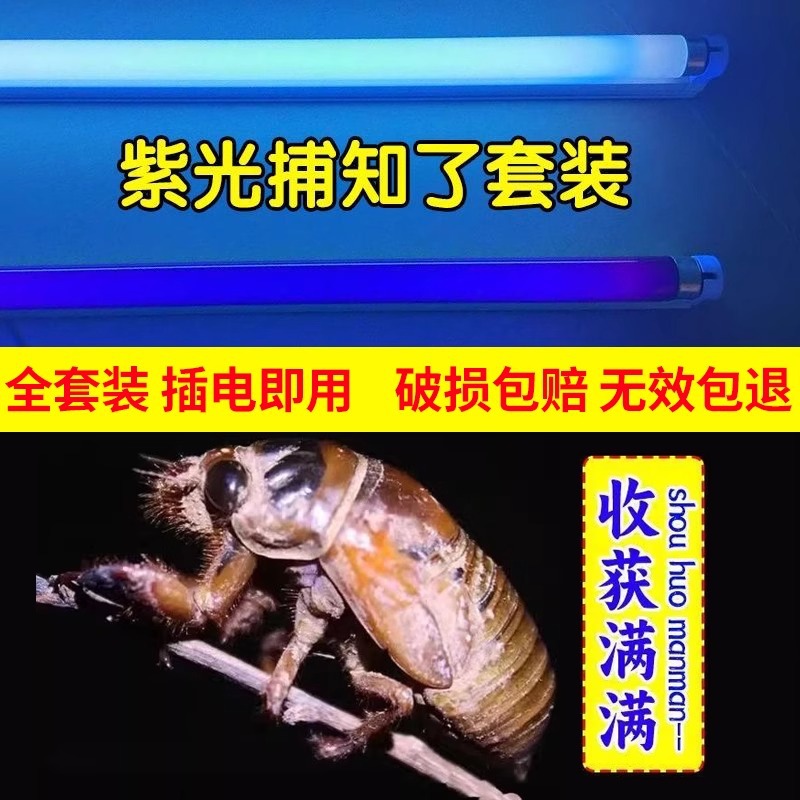 抓知了猴灯诱虫灯紫光灯管BLB紫外线黑管紫光捕蝉灯管养殖场鱼塘