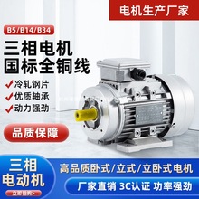 늙C380V����YS�X�� 1400�D90120w180W250W370W750WKW늄әC�R�_