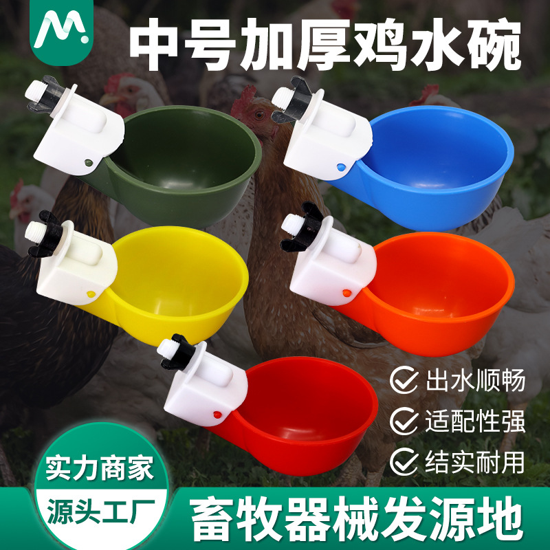 Exportación transfronteriza integrada tamaño medio completamente automático pollo tazón de agua de pollo tazón de agua de pollo alimentador de palomas tazón de agua de pollo de cinco colores