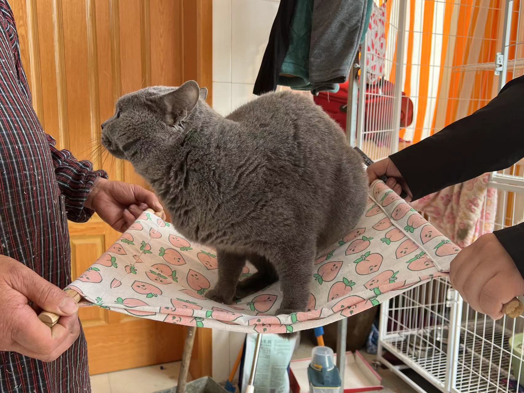 더블 레이어면 및 린넨 교수형 천