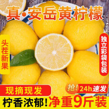 四川安岳黄柠檬新鲜水果皮薄当季整箱精选香水甜青柠檬小金桔特产