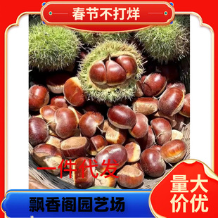 �޽Ӱ����� �������ϱ����Nֲ�Ͱ�������Y���ϱ����Nֲ����