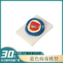 教学演示用品;教学仪器;生物教学器材