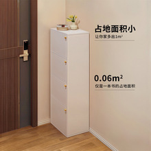 入户鞋柜小窄门口家用室内玄关收纳柜一体靠墙2025新款外楼道鞋架