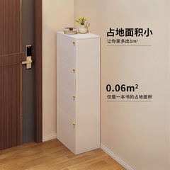 家に入る下駄箱の狭い入り口の家庭用玄関収納棚が一体で壁に寄りかかっています。