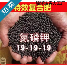 ʷ�����ͺϷʻ��ʻ��ʵ���⛾Gֲ���仨�ܠI�B����������ͨ