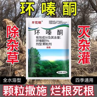 �_���z�hຆL�h�ͪ��݄����s�ݹ�ľ߀���~���������݄��rș�w��