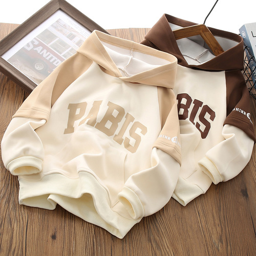 Children's Hooded Sweatshirt  Autumn/Winter New Color-blocked Sweatshirt Boys' Sport Top Long Sleeve Letter Hoodie