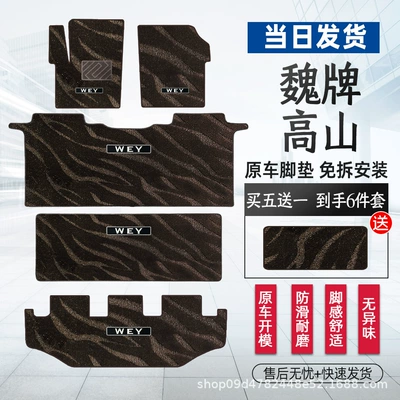 Universal Foot Pad — Suitable for Wei Brand Alpine 8 - the-whole-car-is-coffee-colored-galaxy-front-row-second-row-third-row-trunk-small-aisle