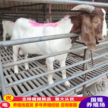 �^̥��̥����ɽ���Bֳ ����ɽ��r�� ����ɽ��N����F؛