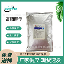 ���� ������ĸ ���t��ĸ ���\��ĸ �I�B�������I�B��ĸ���t�\��ĸ