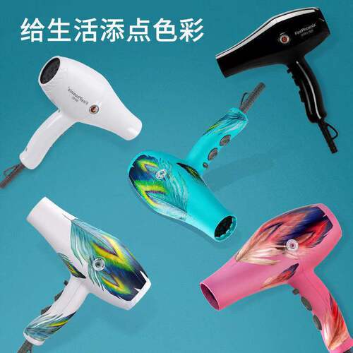 Fire Phoenix professional hair dryer high-power brushless motor hair salon barber shop hairstylist dedicated home hairdressing