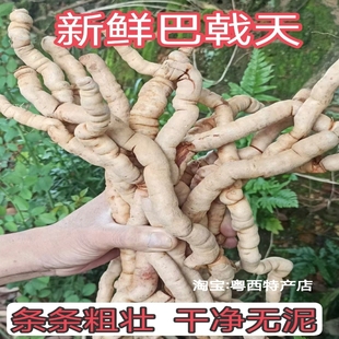 �������ș�����ڵc�ؼ���Ұ���u�c�L�ݾƟo���Ҝ��������r�F��