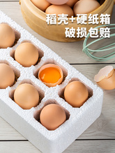 ����ɢ�B���u��50ö�������x���u�����s�Zι�B40g/���l