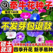 ��ţ���N�����Ȼ������������ٻ����ļ����N�_�������׻�N����