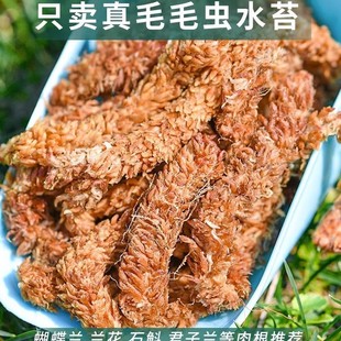 ����ˮ̦�����mëë�xˮ̦���Ǹ�̦�\�m����ֲ�Ϟ������߉|��