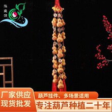 ��Ȼ�{��С���J�帣�R�T����~�X�����T���Ҿӿ͏d�b����~����X