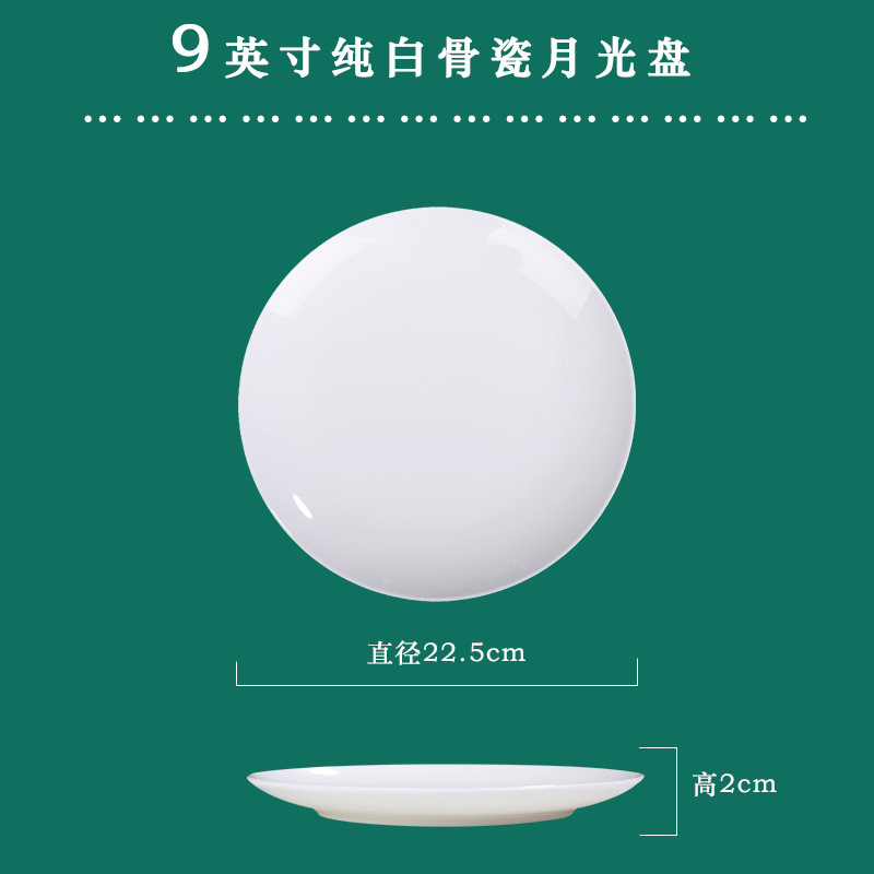 9 인치 문 디스크