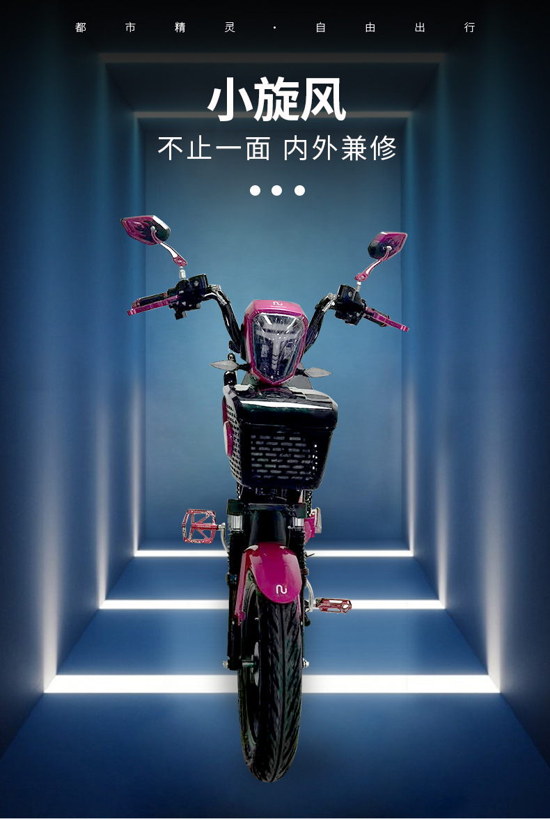 Small Electric Scooters for Export, Foreign Small Mobility Vehicles, Commuter Electric Vehicles, Cross-Border Export Electric Motorcycles