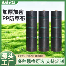 PP防草布 园艺地布果园果树打孔切片除草布透气透水盖草抑草布