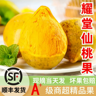 ��Sҫ�����ҹ�����ҫ���������r�u���������Ꭷ�ЋDˮ�����S����