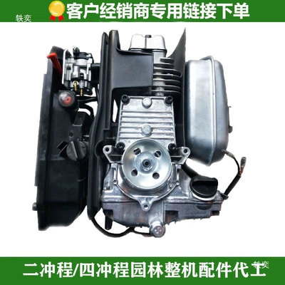 Cylinder Piston, Backpack Leaf Blower | Gasoline Engine Oil