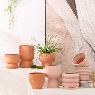 �׺γ��󱱚W�ֹ��t�ջ���͸����ˮ�����؟�������Gֲ�����m��