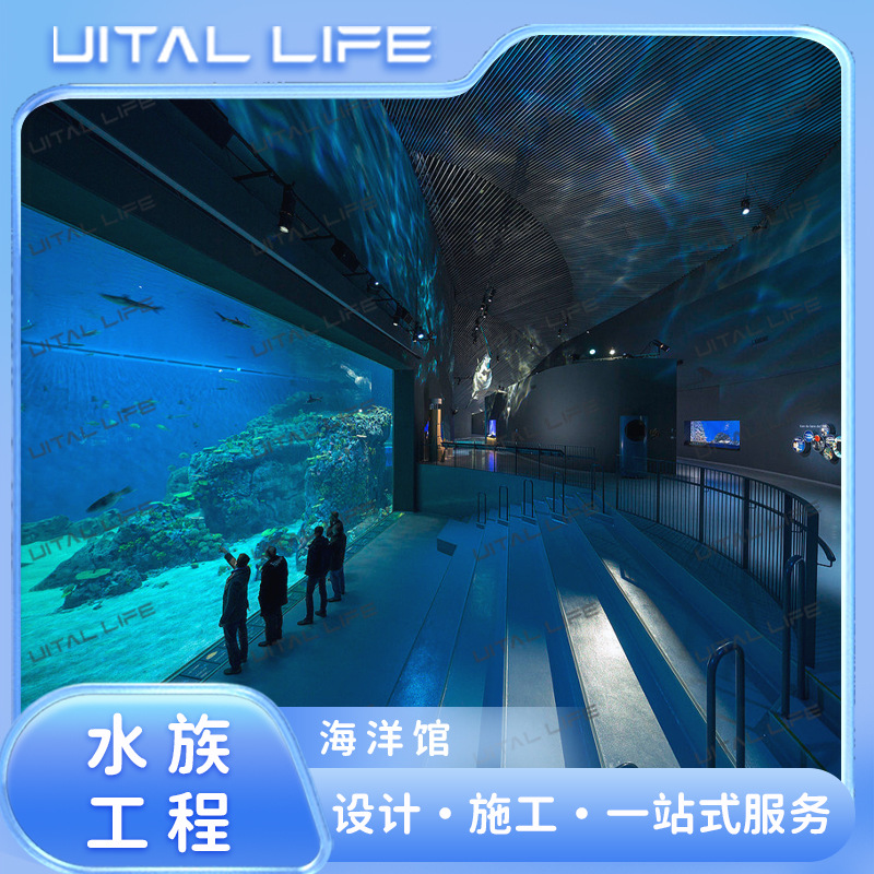 海洋馆大型观赏缸 亚克力透明展示面 弧形有机玻璃设计安装