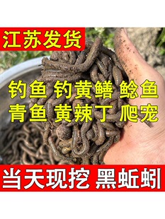 ������r��������S�X�����~�D�ϴ�����������]