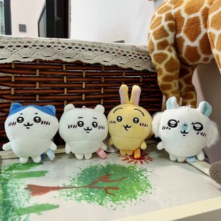 �Գ��ܹ�����_�漪���w��С��С�_ϵ��ë�q���В����ż�����