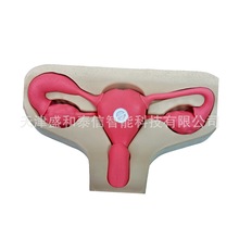 ϺɶѪܽģMӖwģθcģ͹ģ