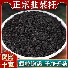 韭菜籽炒熟新货中药材煲汤用韭菜可搭配枸杞男性泡酒韭菜籽泡酒用