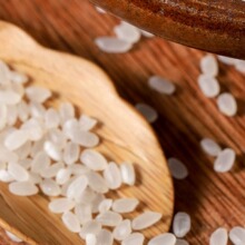 当季新米10斤价五常大米稻香米原粮2号东北长粒香米圆粒粳米