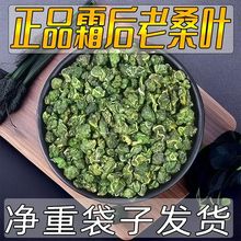 桑叶茶新鲜霜后桑叶干材野生桑叶搭配菊花茶桑叶散装