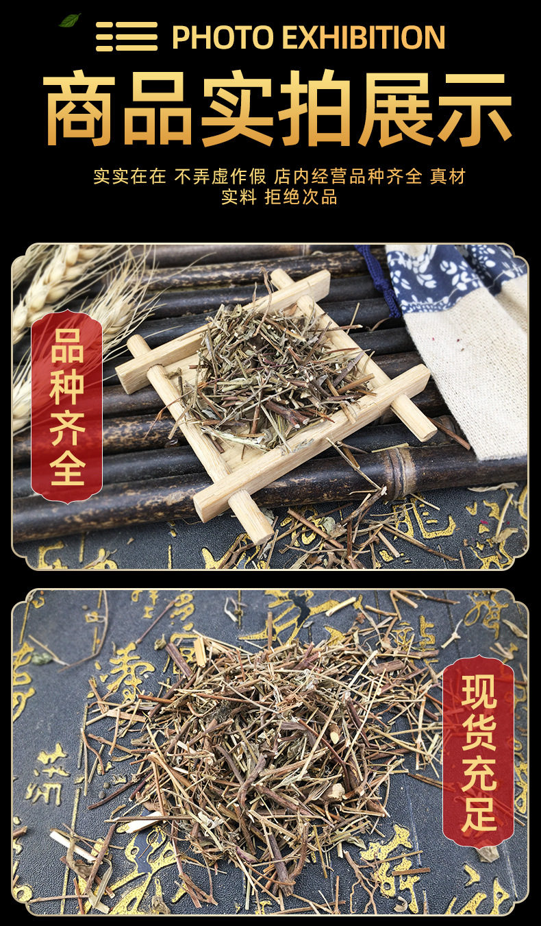 Dried Elsholtzia Herb Xiang Ru Loose Whole Herb Traditional Summer Herbal Tea 500g in use