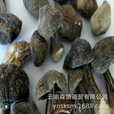 黑皮鸡枞菌干货菌包小鸡枞 云南特产小黑皮鸡枞 产地批发 质量好