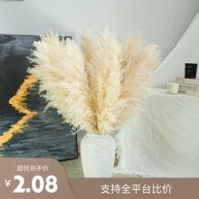 �羳���R�d��Ȼ��Ȕ�ɻ��Ҿ��b���Ȕ�͏d�[���ɻ���Ȕ���JȔ�[�O