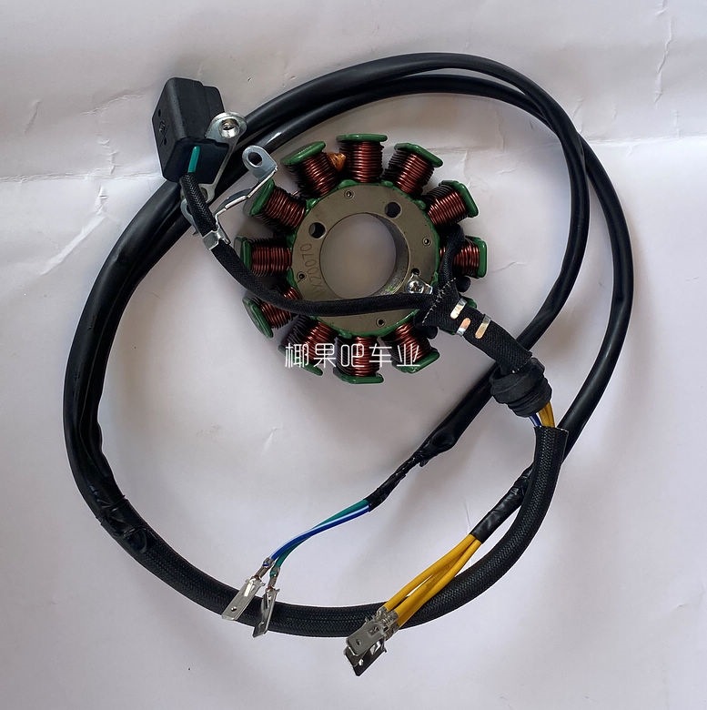 Motorcycle ATV accessories 125-250CC engine AC 8-pole/DC 12-pole coil magneto stator