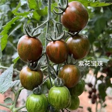 tŮՙСѷN }ŮˮСtN Դ߮a