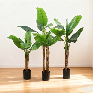 ����Ž�����;Gֲ�����҃Ȕ[���٘��쾰�����b��㽶�������l