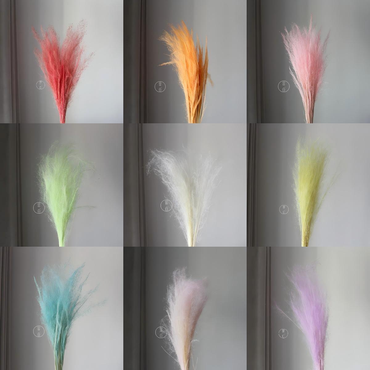 永生粉黛乱子草龙须草白日焰火烟花花材婚庆花艺设计装置厂家批发