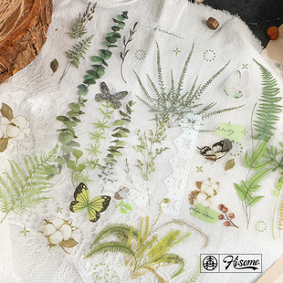 Hisome PET�N�� ����֮��ϵ�� ����ֲ���֎���ӛDIY�ز��b��N��