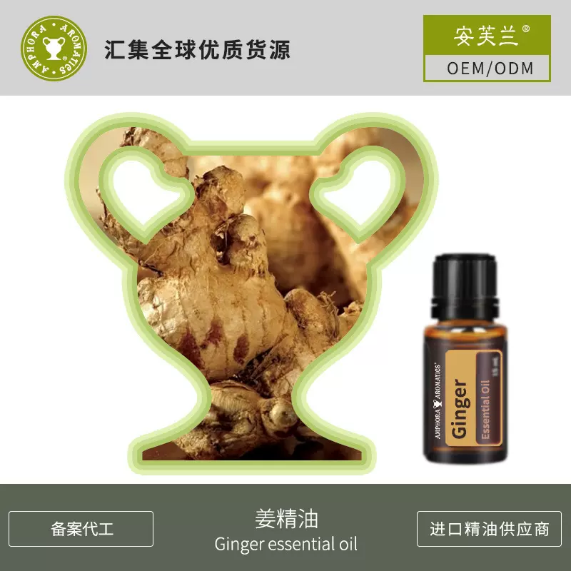 小黄姜精油厂家直供 调 理肌肤身体按摩化妆品厂家现货半成品批发