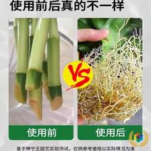 ��������ֲ��ͨ�ù���ľ����Ǥ����������Һ�N���B���ܷ�