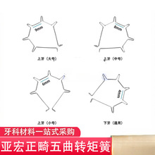 亚宏五曲转矩簧 五曲前牙转矩簧五连簧上牙大中小号下牙