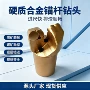 pdc两翼勘探地质钻头