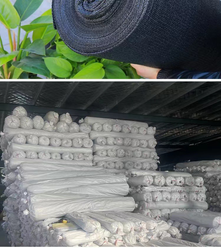 微信图片_202208060140328