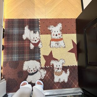 ������С������T�؉|���ýzȦ�����T�|���K�״����_�|���P�����|