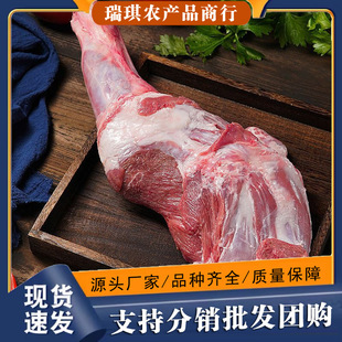 ���Kԭ���������ԭɢ�B����������l���l�l؛��S���]����������